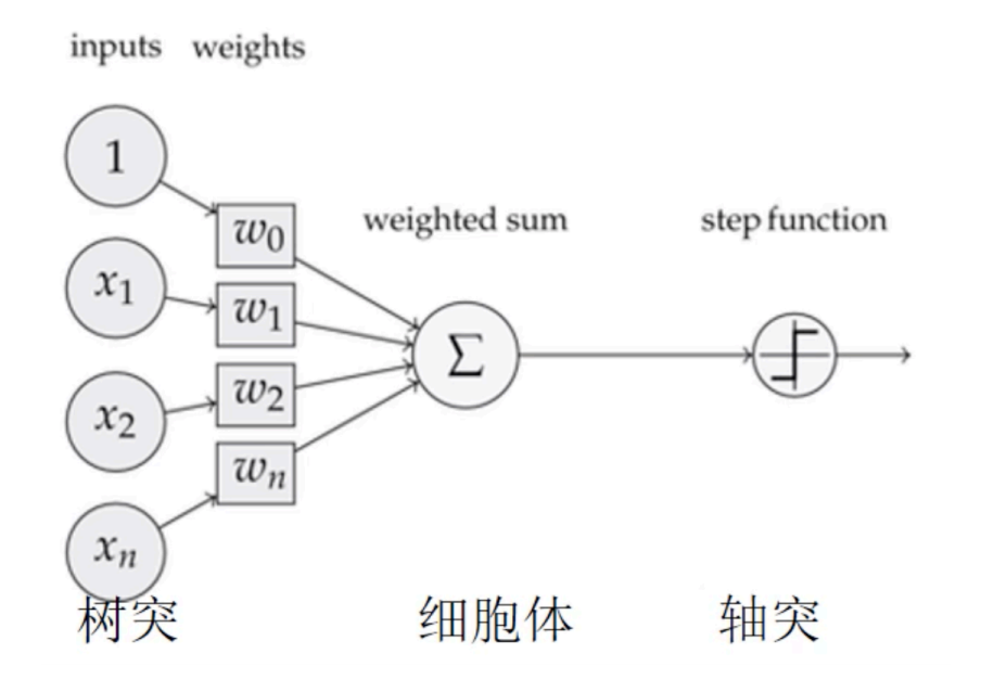 分类算法